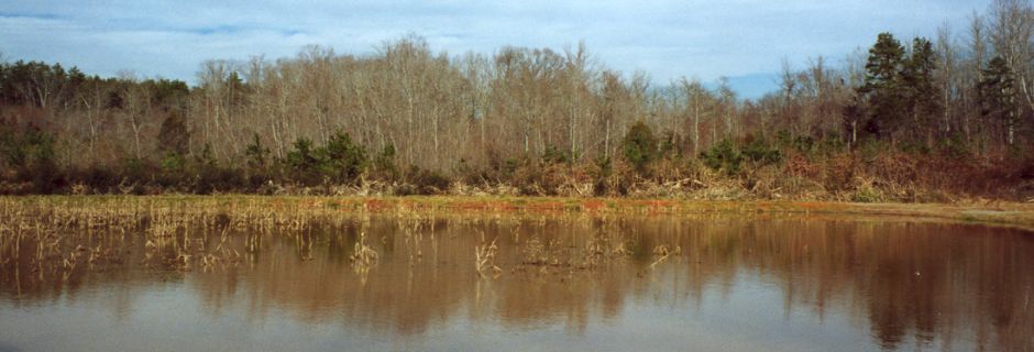 Blue Bird Farms, Iredell County - conserved in 2003