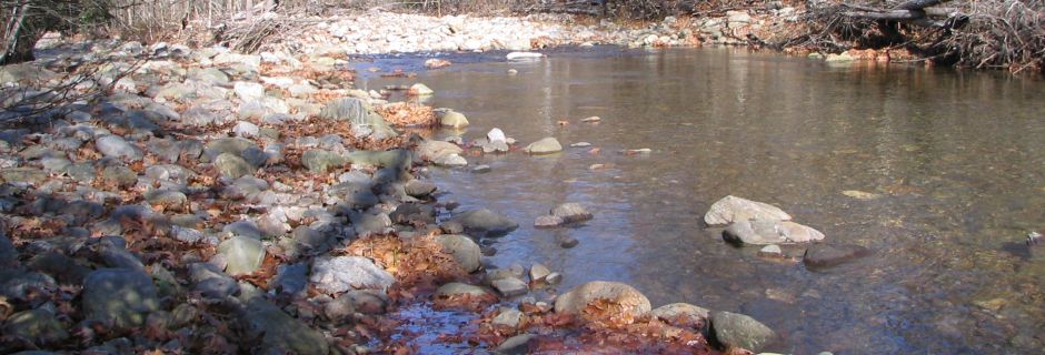 Edwards Preserve, Yancey County - conserved in 2006