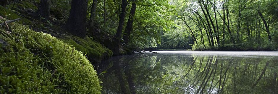 Mountain Creek, Catawba County - conserved in 2010