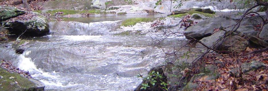 Terrapin Creek, Catawba County - conserved in 2010