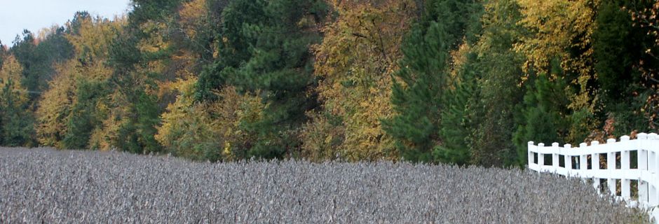 Will\'s Woods, Mecklenburg County - conserved in 2006