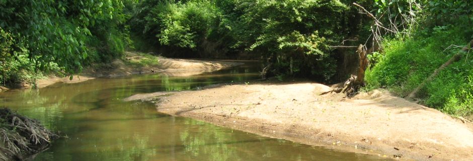 Long Creek Conservation Area, Mecklenburg County - conserved in 2011