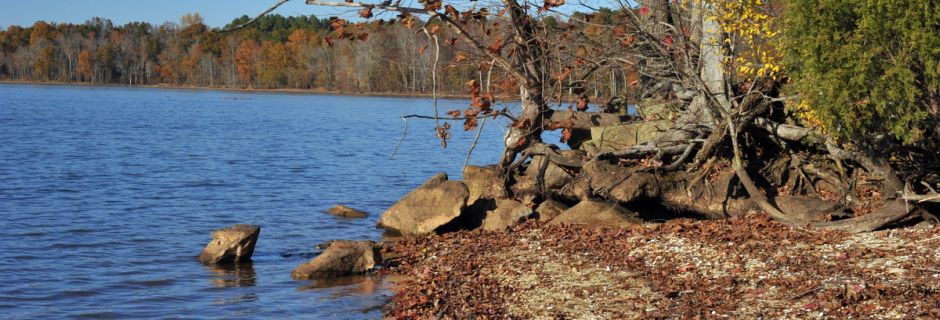 Seven Oaks Preserve, Gaston County - conserved in 2011