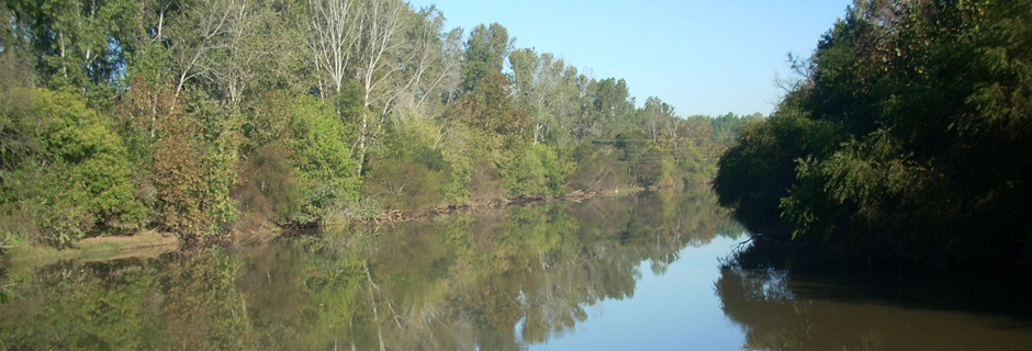 Goat Island Preserve, Gaston County - conserved in 2008