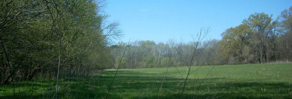 Pharr Family Preserve, Cabarrus County - conserved in 2011
