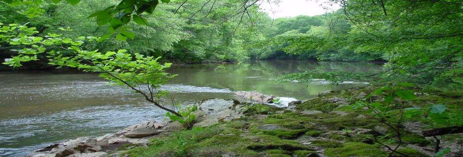 Pinhook Preserve, Gaston County - conserved in 2001