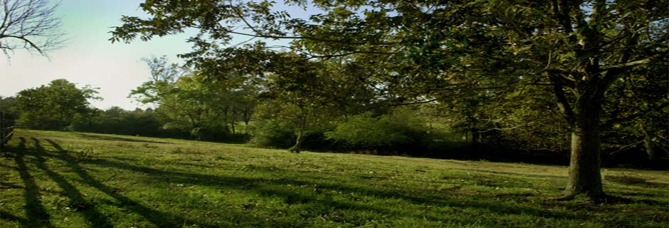 Saving land and connecting lives to nature since 1991