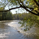 Pharr Yarns Preserve