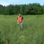 Sean Bloom in a stand of more than 5,000 endangered Schweinitz’s Sunflowers.