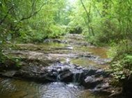 Clean Water