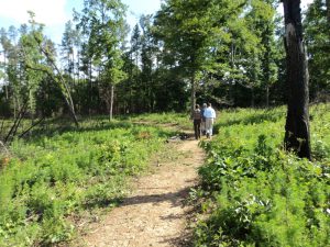 Buffalo Creek Preserve