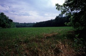 Natural Pasture at Redlair Farm and Forest