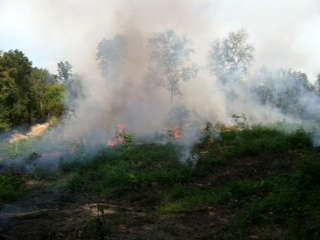 Prescribed Burn Conducted Safely and Successfully  Catawba Lands 