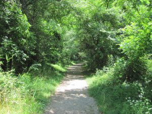 South Fork Rail Trail