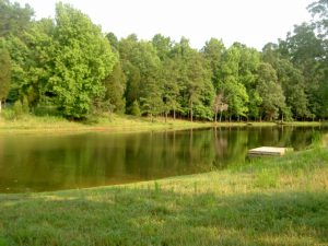 McCoy 2006 July Visit 24 Pond