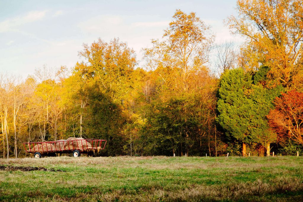 Photo: McCoy Farm by Debbie Warren