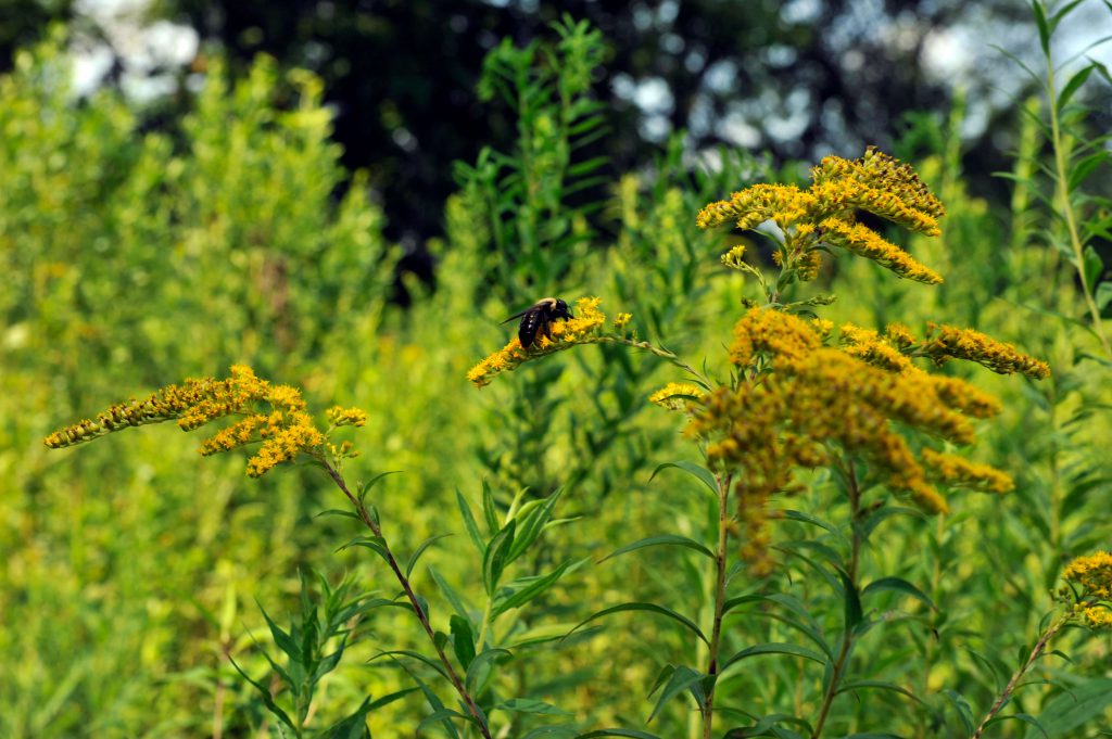 Photo: Howey Farm by Nancy Pierce