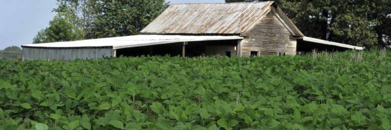 Photo: Howey Farm by Nancy Pierce