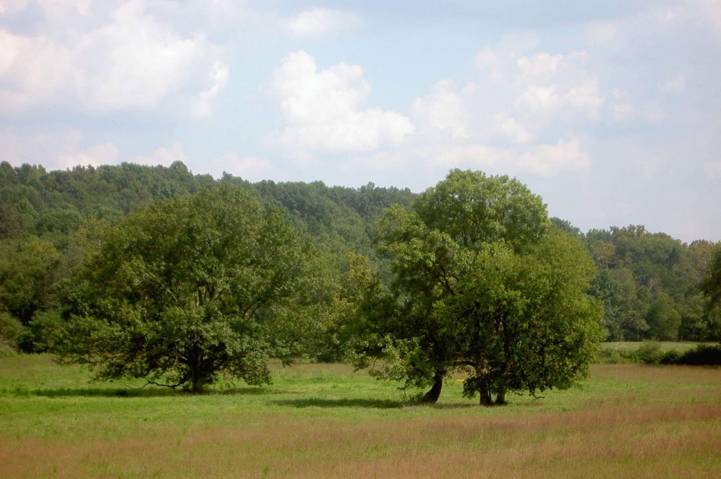 Photo: Riverbend Conservation Area by Nancy Pierce