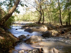 Photo: Pharr Yarns Preserve by Nancy Pierce