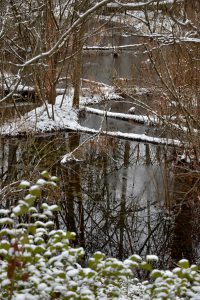 Photo Credit: Spencer Mountain by Nancy Pierce