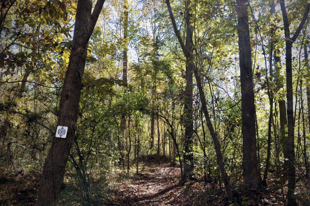 Home Catawba Lands Conservancy