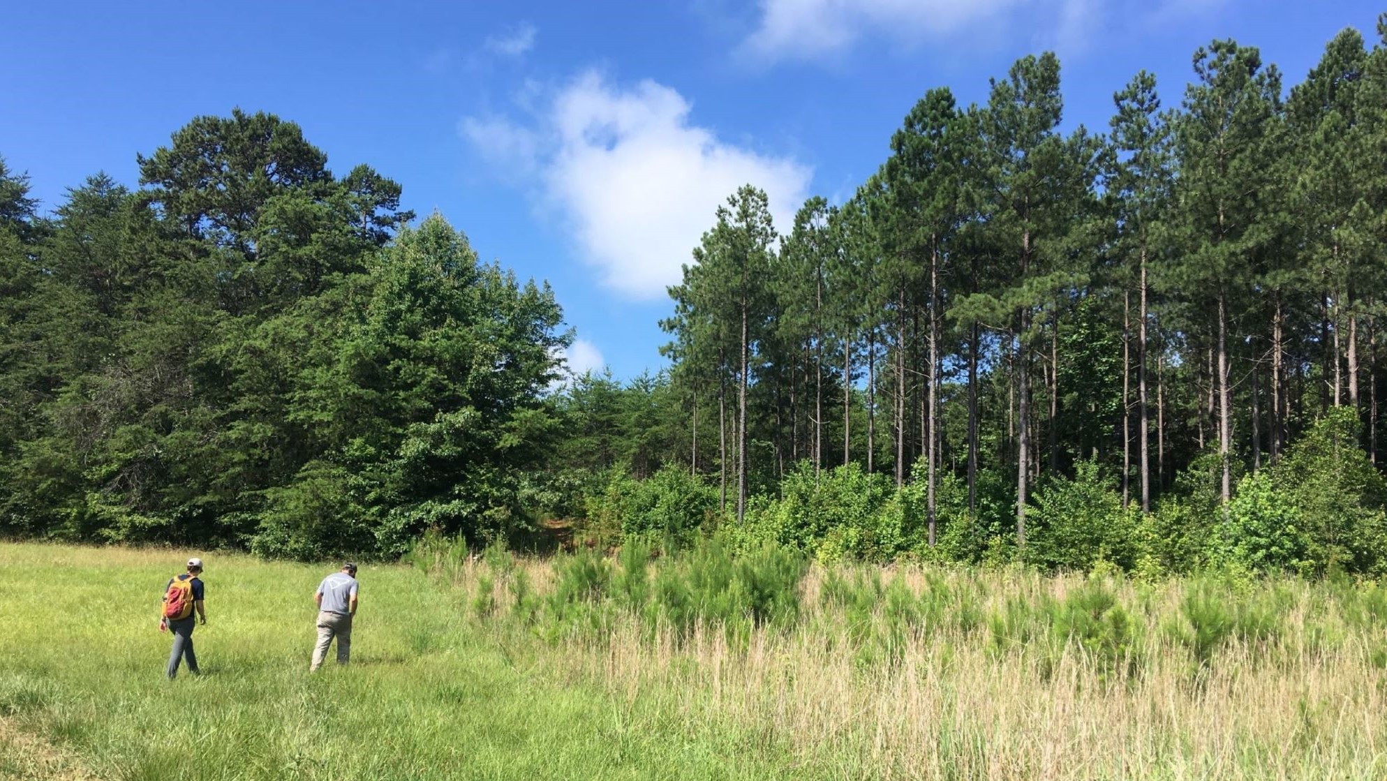 Catawba Lands Conservancy adds 87 acres of protected land along Forney
