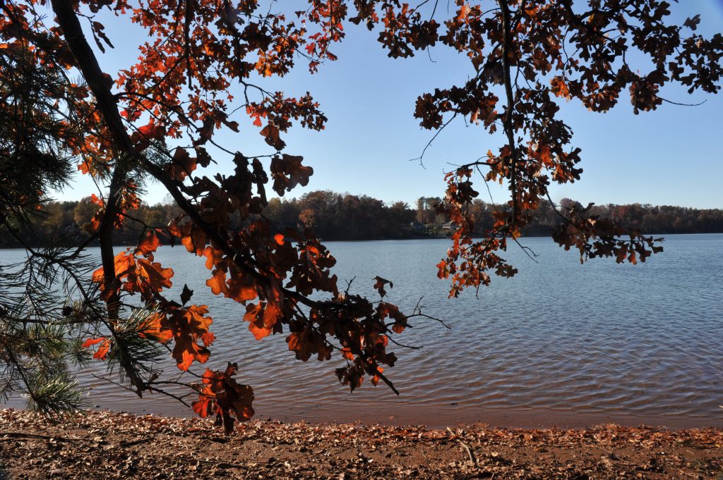 Seven Oaks Preserve, on a Lake Wylie Cover behind the Daniel Stowe Botanical Gardens