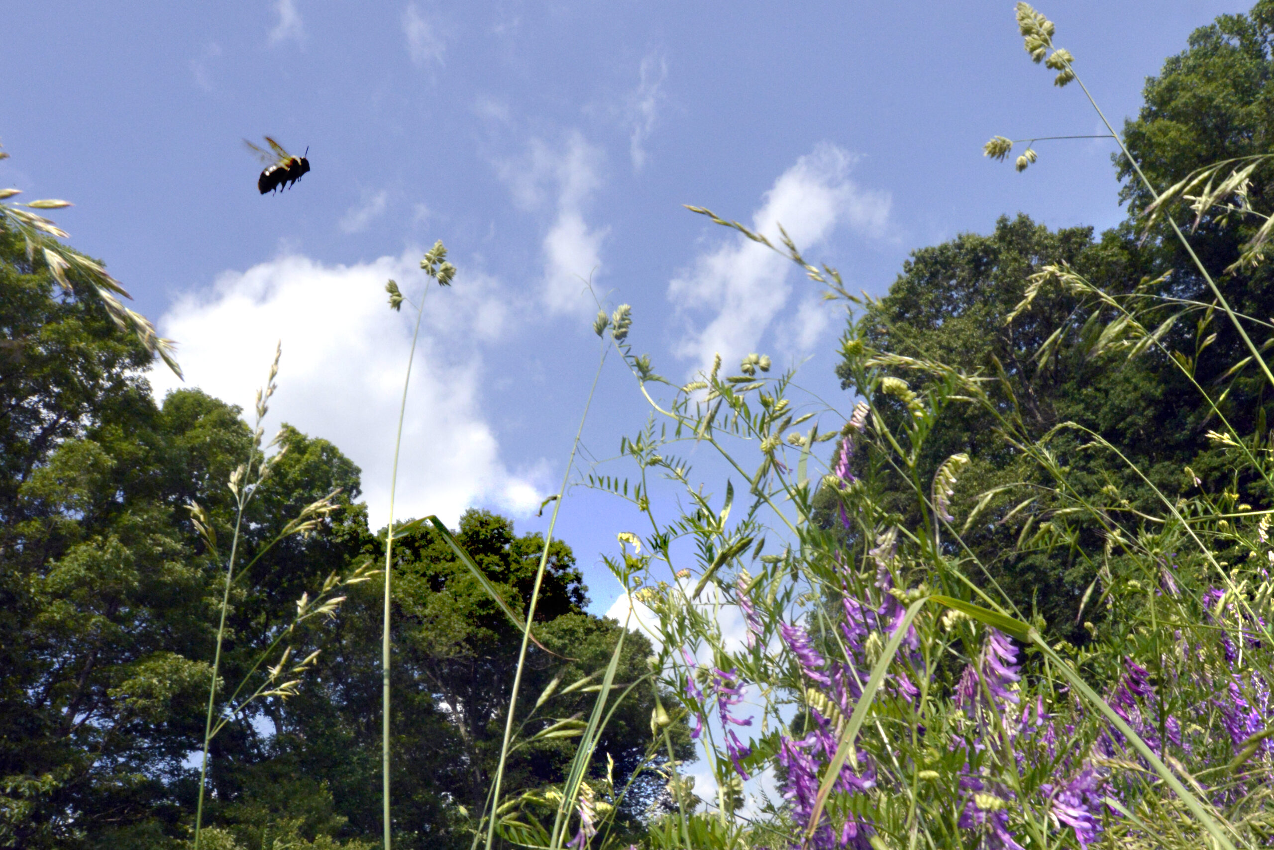 What happened to North Carolina's Conservation Income Tax Credit ...