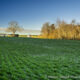 A green grassy field is set against a blue sky with a historic barn and trees visible in the distance.