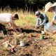 Three people kneel on the ground, planting seedlings in a grassy field.