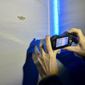 Ken Kneidel photographing moth at Eastover Ridge Preserve